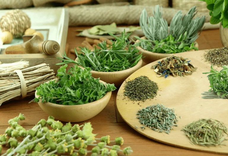 Nemanex -Tropfen bestehen nur aus natürlichen Kräutern